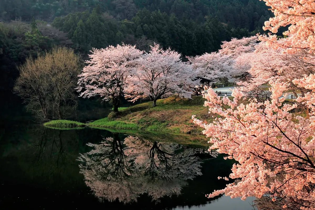 🏞️ 이사하야 유유랜드 간척의 마을 (이사하야 유유란도 칸타쿠노사토) 이미지 7